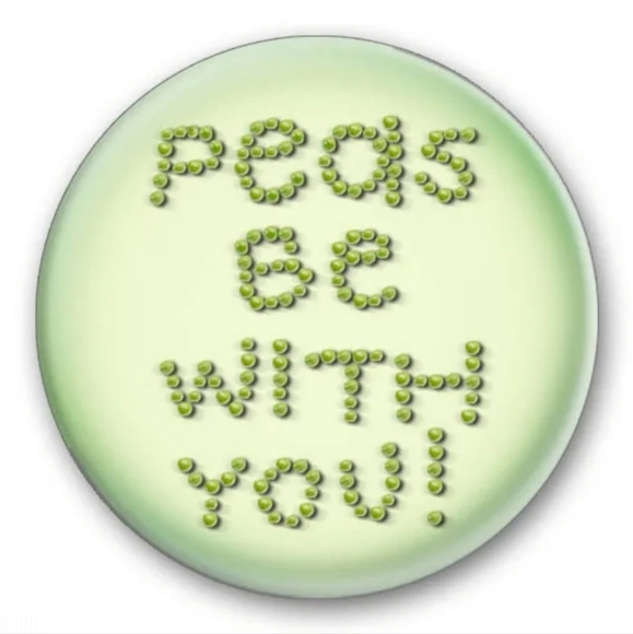 Meet your Posher, Lauren - Picture 1 of 1